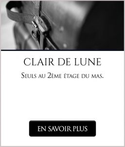 Claire de lune 2